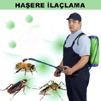 Yerköy Böcek İlaçlama
